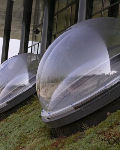 skydome skydome